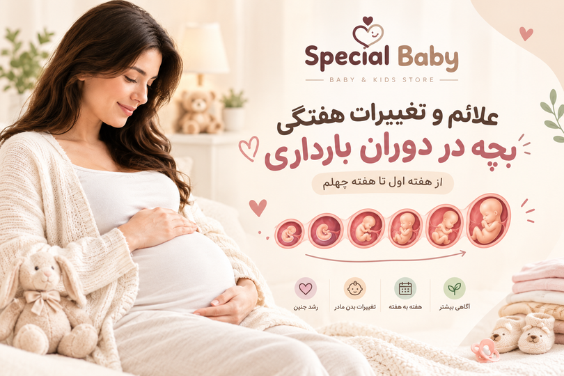 علائم و تغییرات هفتگی جنین در دوران بارداری؛ از هفته اول تا هفته چهلم