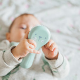 شانه و برس طرح گربه سواوینکس